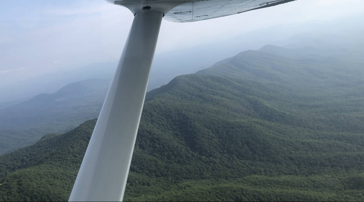 Palmetto Sky Flight School, LLC. in Anderson, photo 3