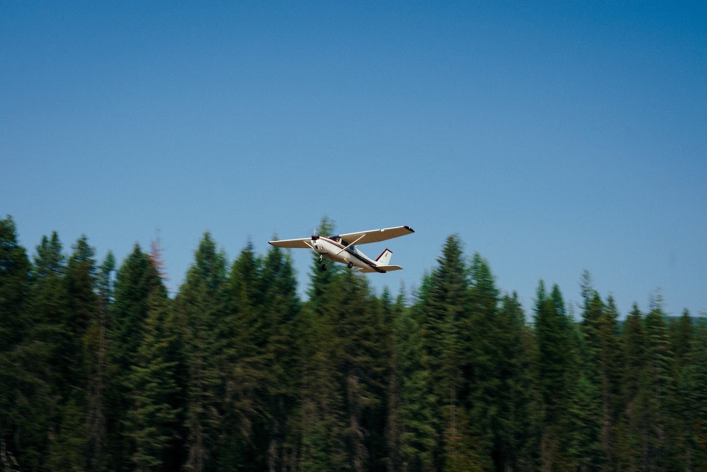 Tailfin Aviation in Auburn, photo 1