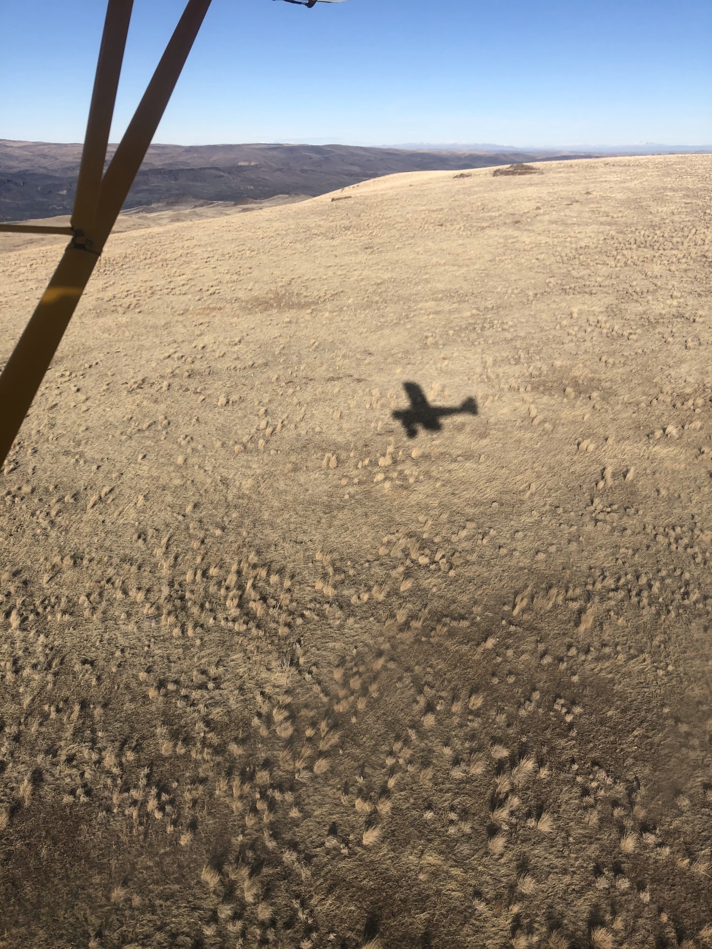 Good Times Aviation in Caldwell, photo 2