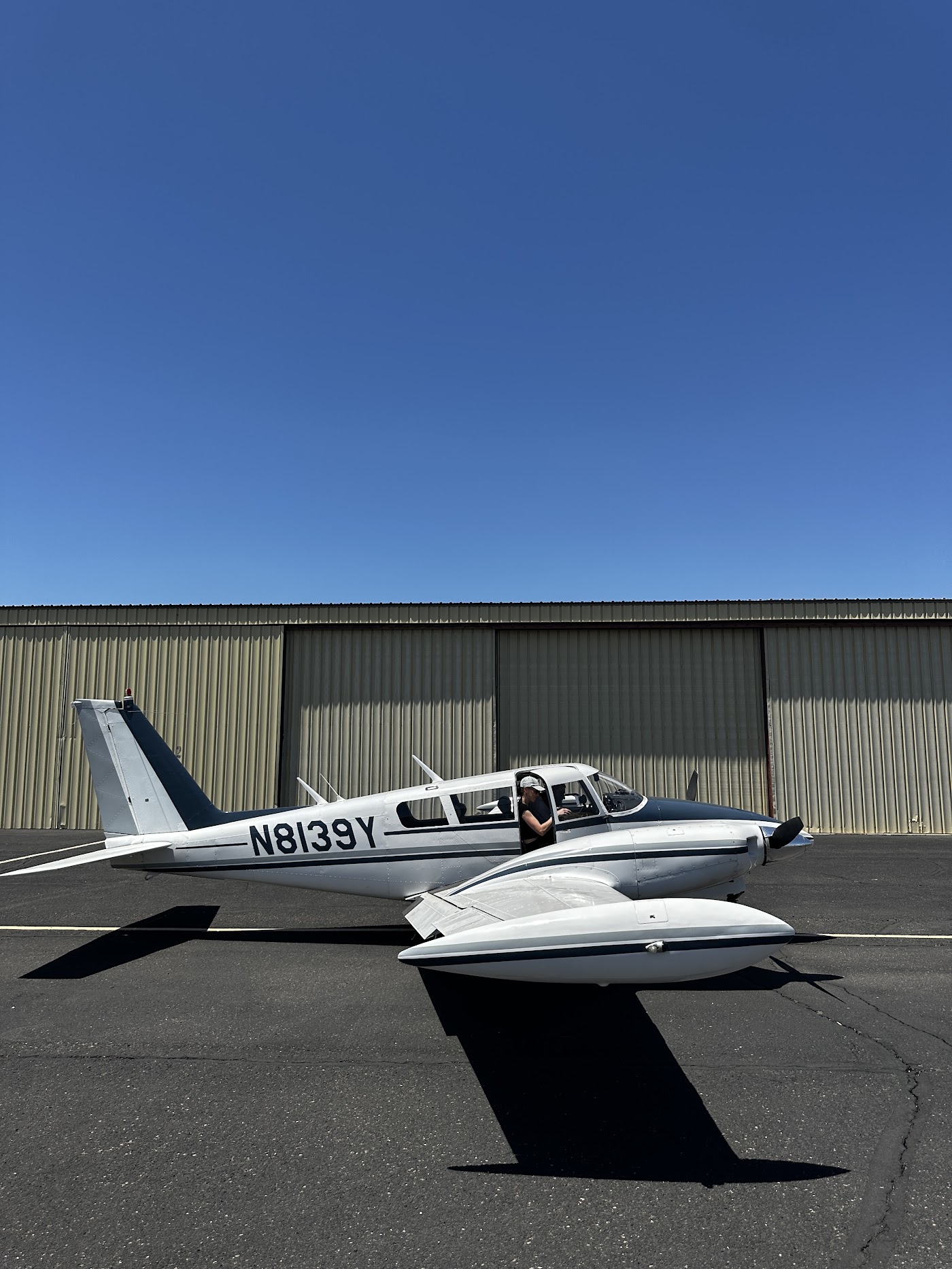 Fly Phoenix in Chandler, photo 1
