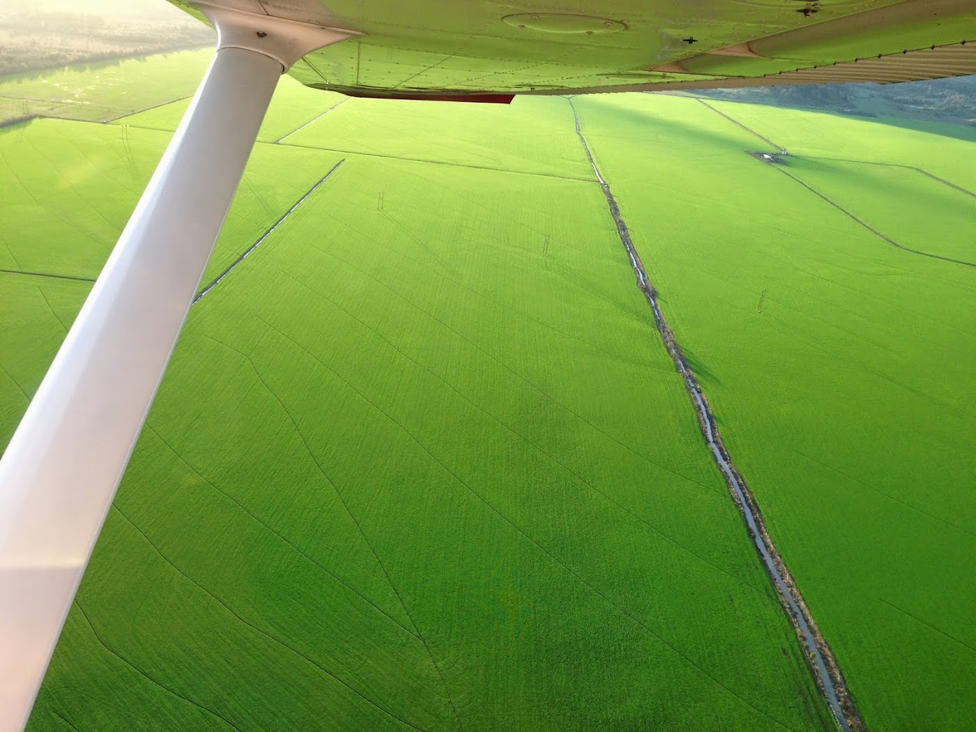TakeWING Aviation in Creswell, photo 3