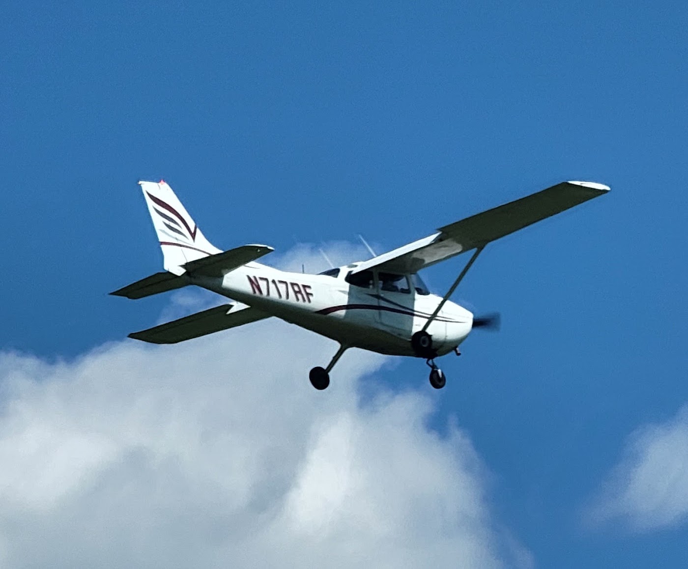Wings Flight Training in Danville, photo 2
