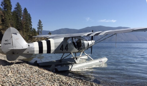 All Sports Aviation in Deer Park, photo 3