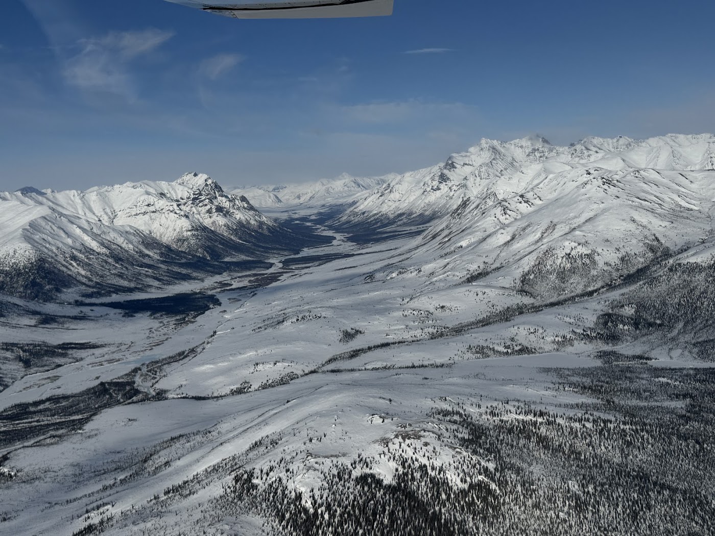 Aviation Expeditions in Fairbanks, photo 2