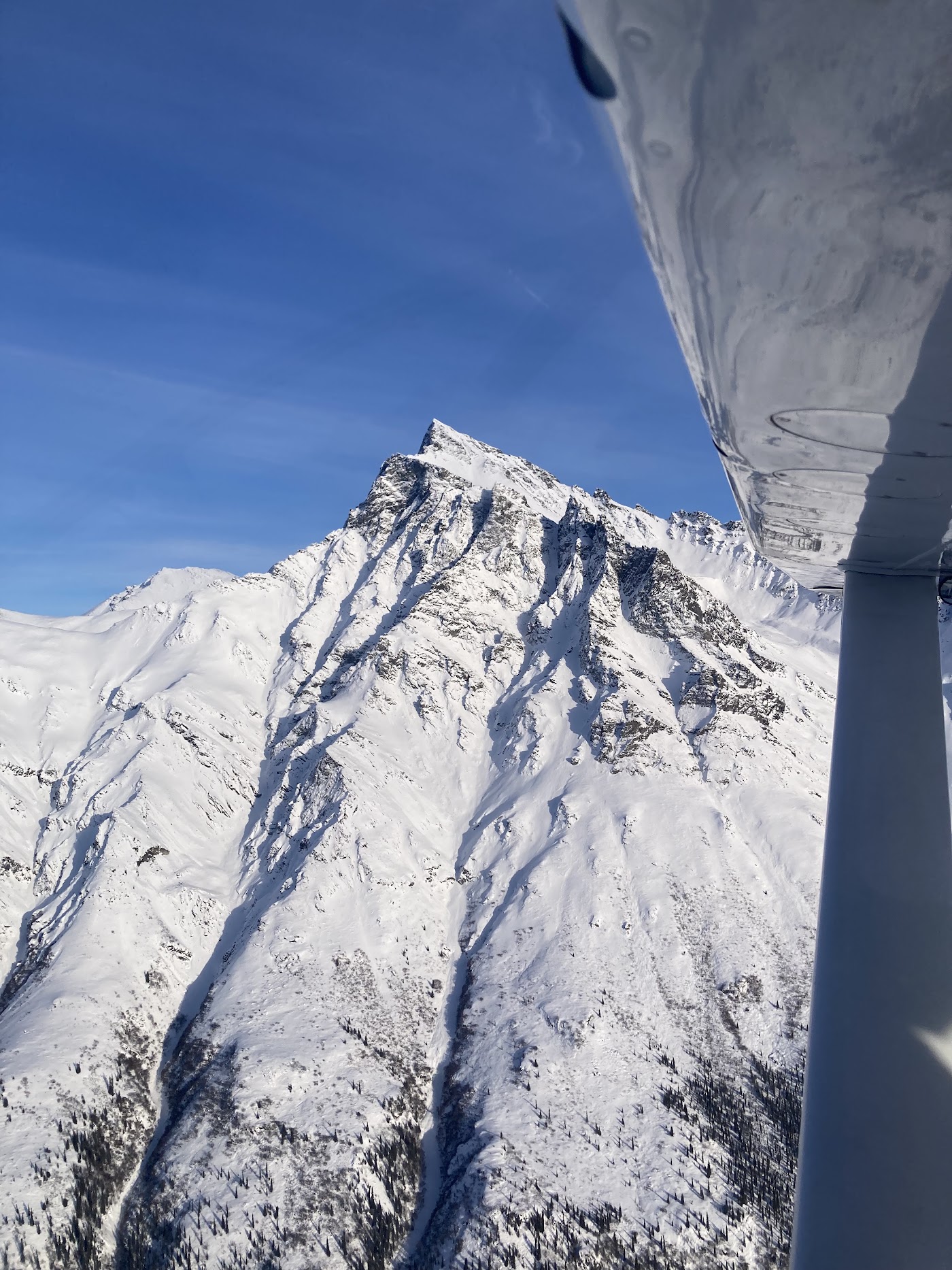 Aviation Expeditions in Fairbanks, photo 3