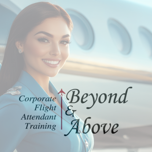 Beyond & Above Corporate Aviation Training for Flight Attendants & Pilots (FAA Part 91,125 & 135) in Fort Lauderdale, photo 1