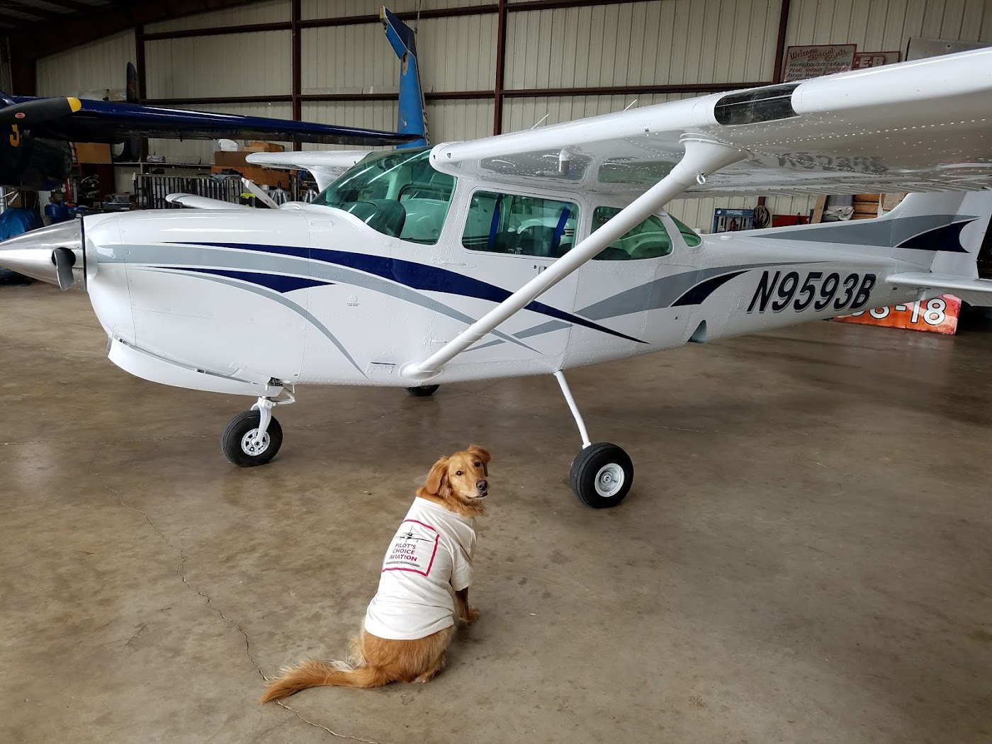 Pilot's Choice Aviation in Georgetown, photo 3