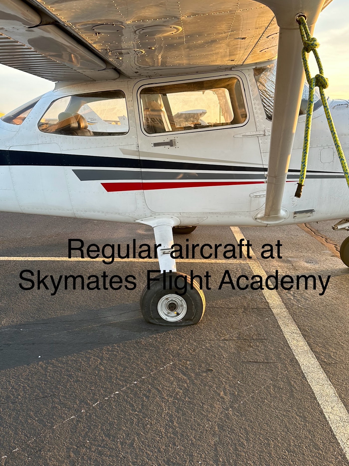 Skymates Inc in Grand Prairie, photo 2