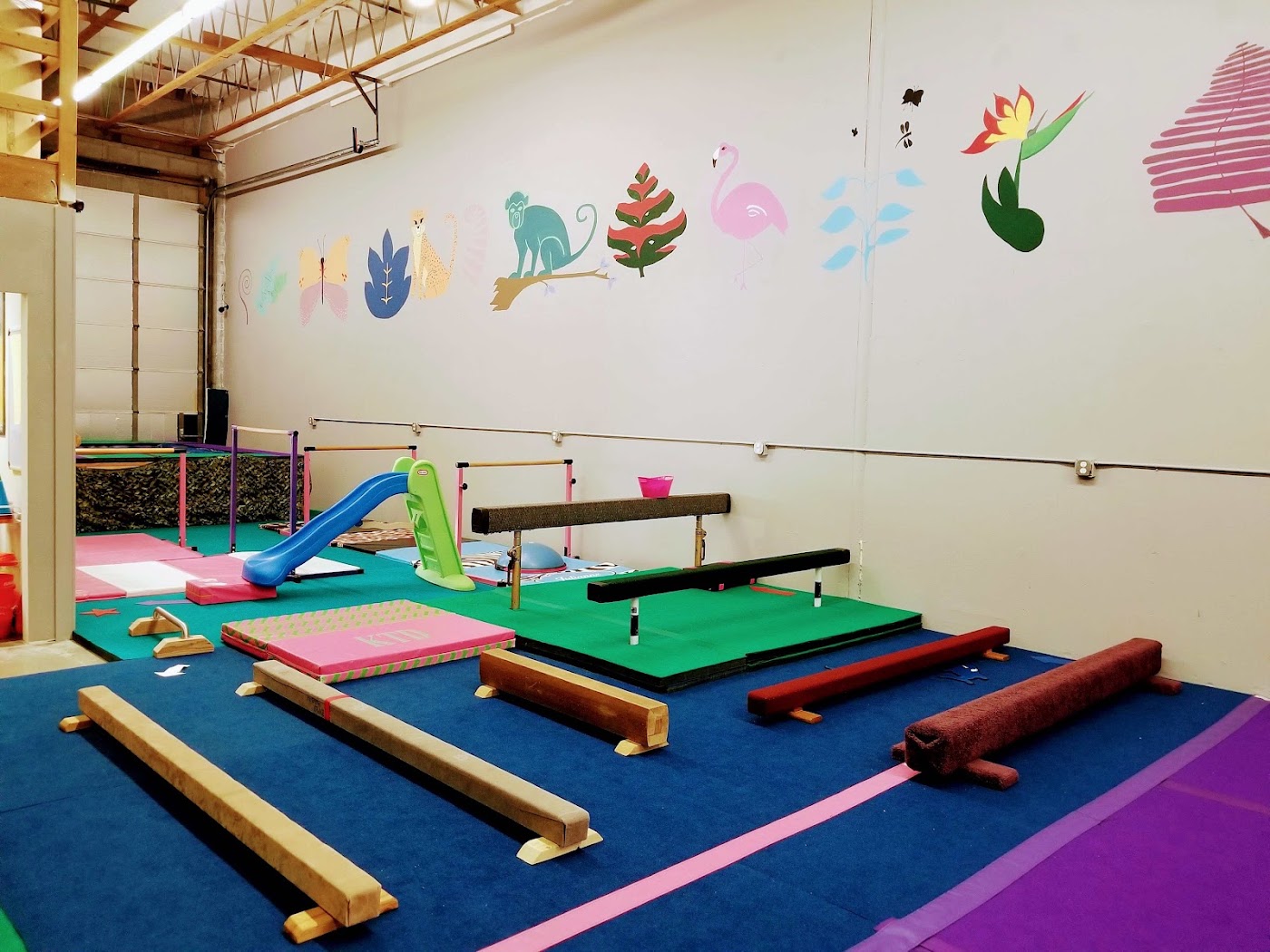 FlightSchool Gymnastics in Hillsboro, photo 3
