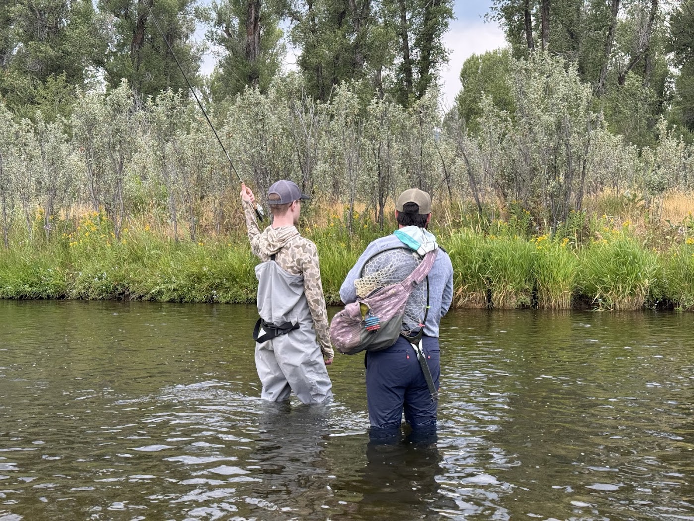 Jackson Hole Fly Fishing School in Jackson, photo 2