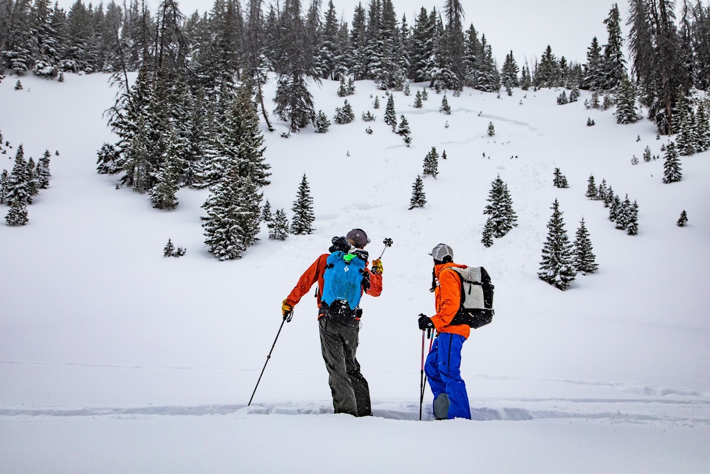 Jackson Hole Outdoor Leadership Institute in Jackson, photo 2