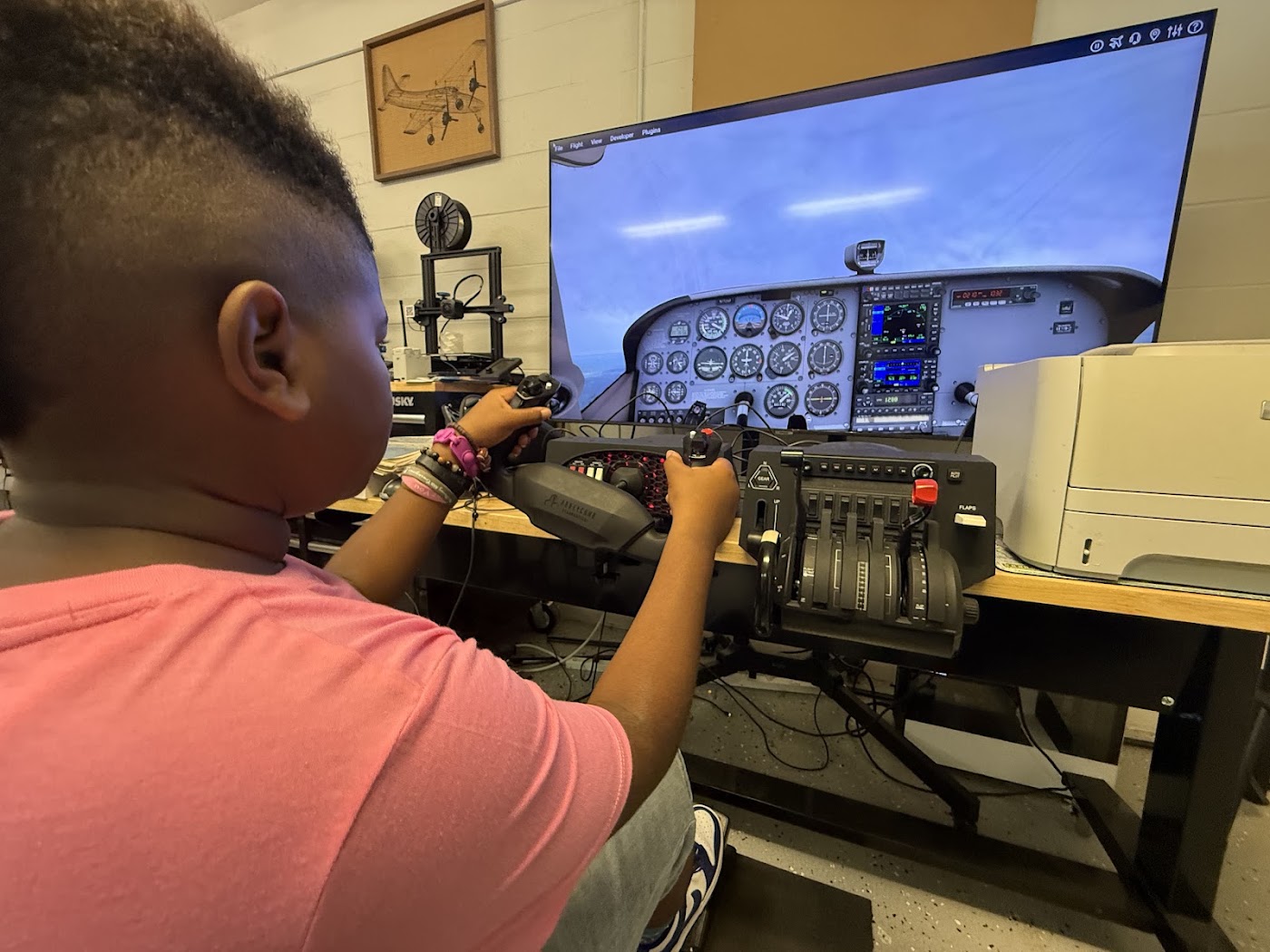 Infinity Aero Club Tampa Bay DBA Mission Aviation Academy in Lutz, photo 2
