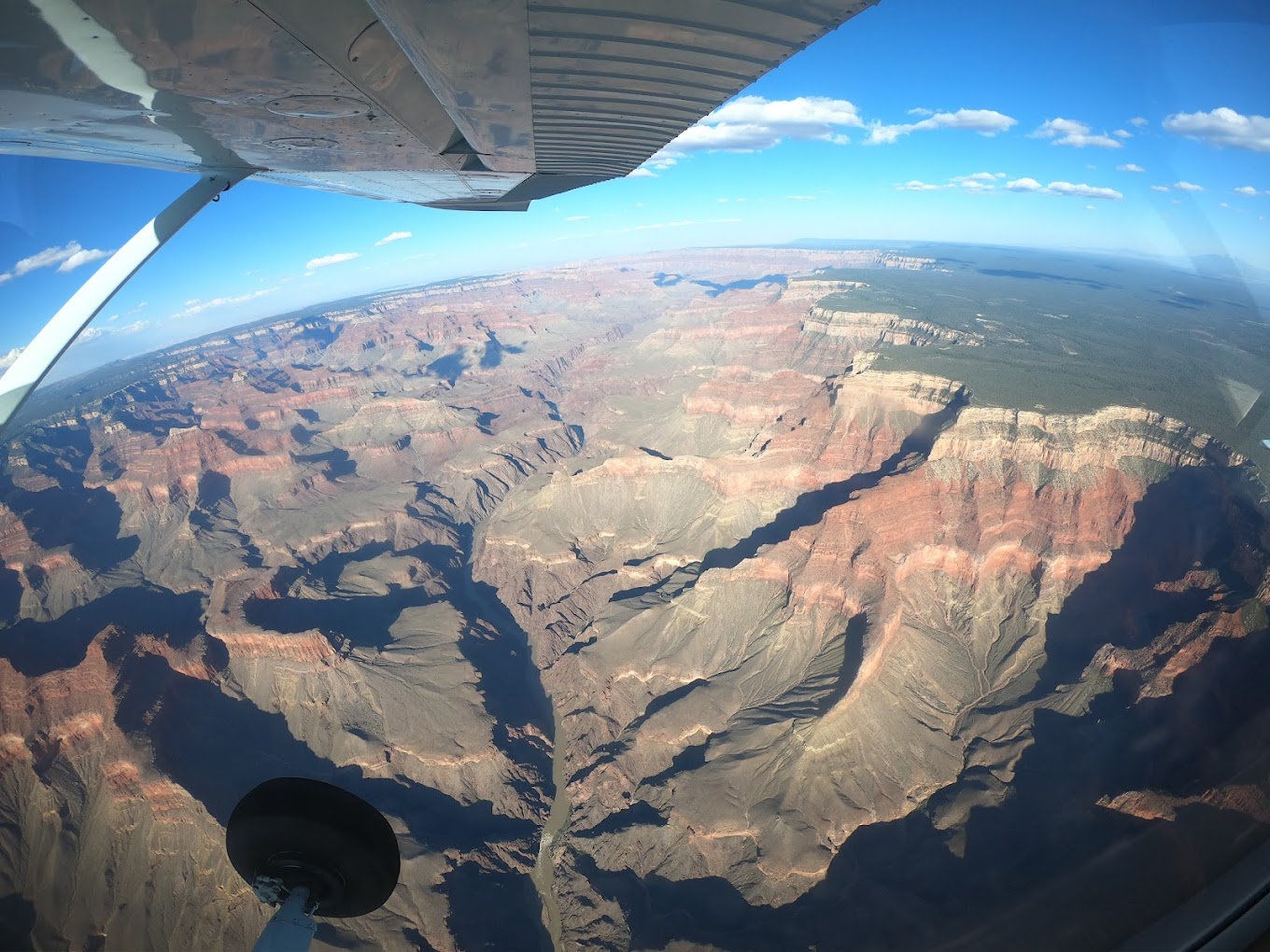 SimpliFly Flight School in Mesa, photo 2