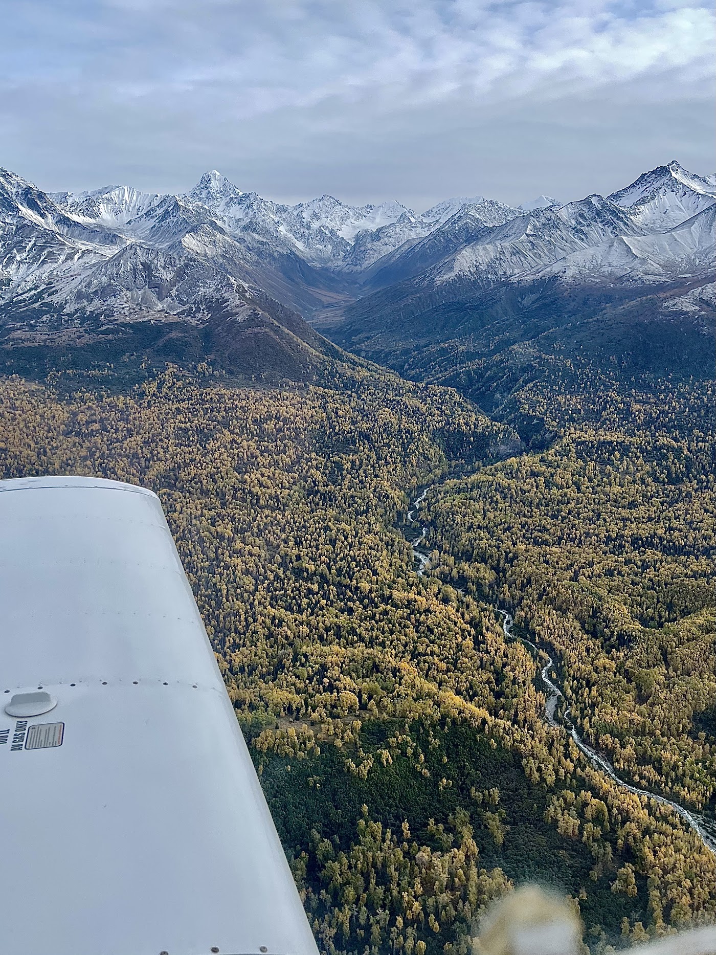 Fly Around Alaska in Palmer, photo 2