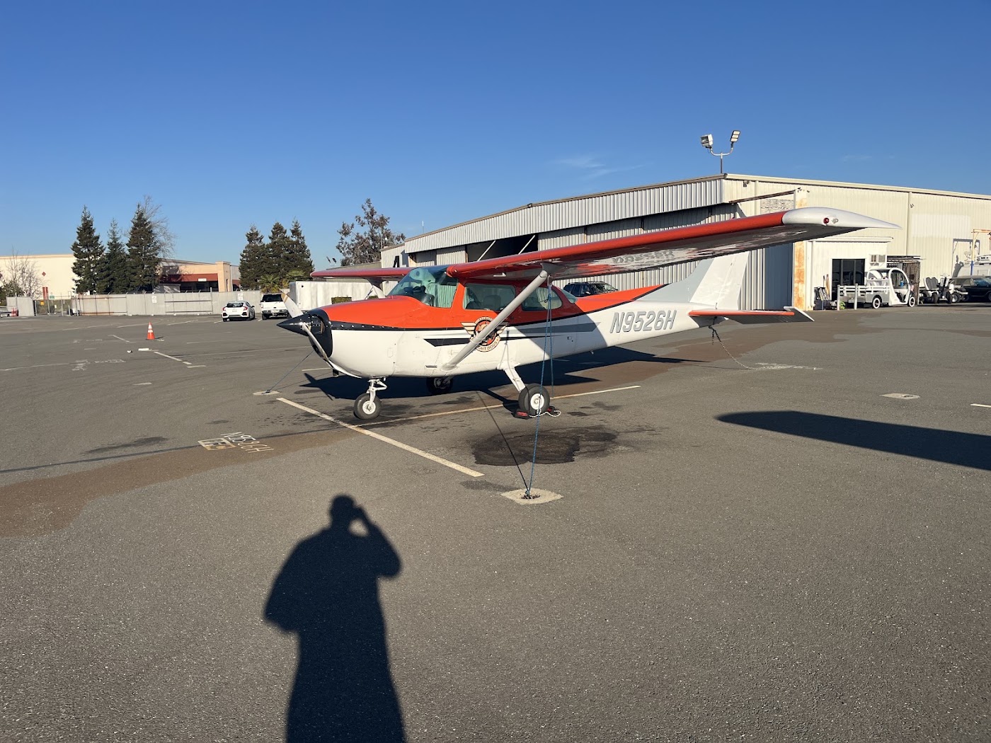 Flight Dogs in San Jose, photo 1