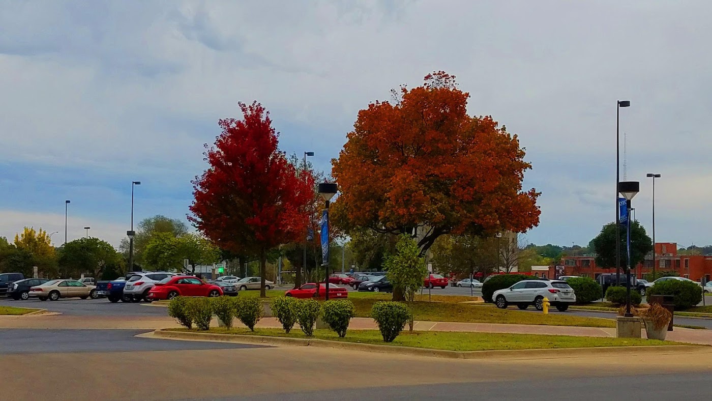 Ozarks Technical Community College in Springfield, photo 3