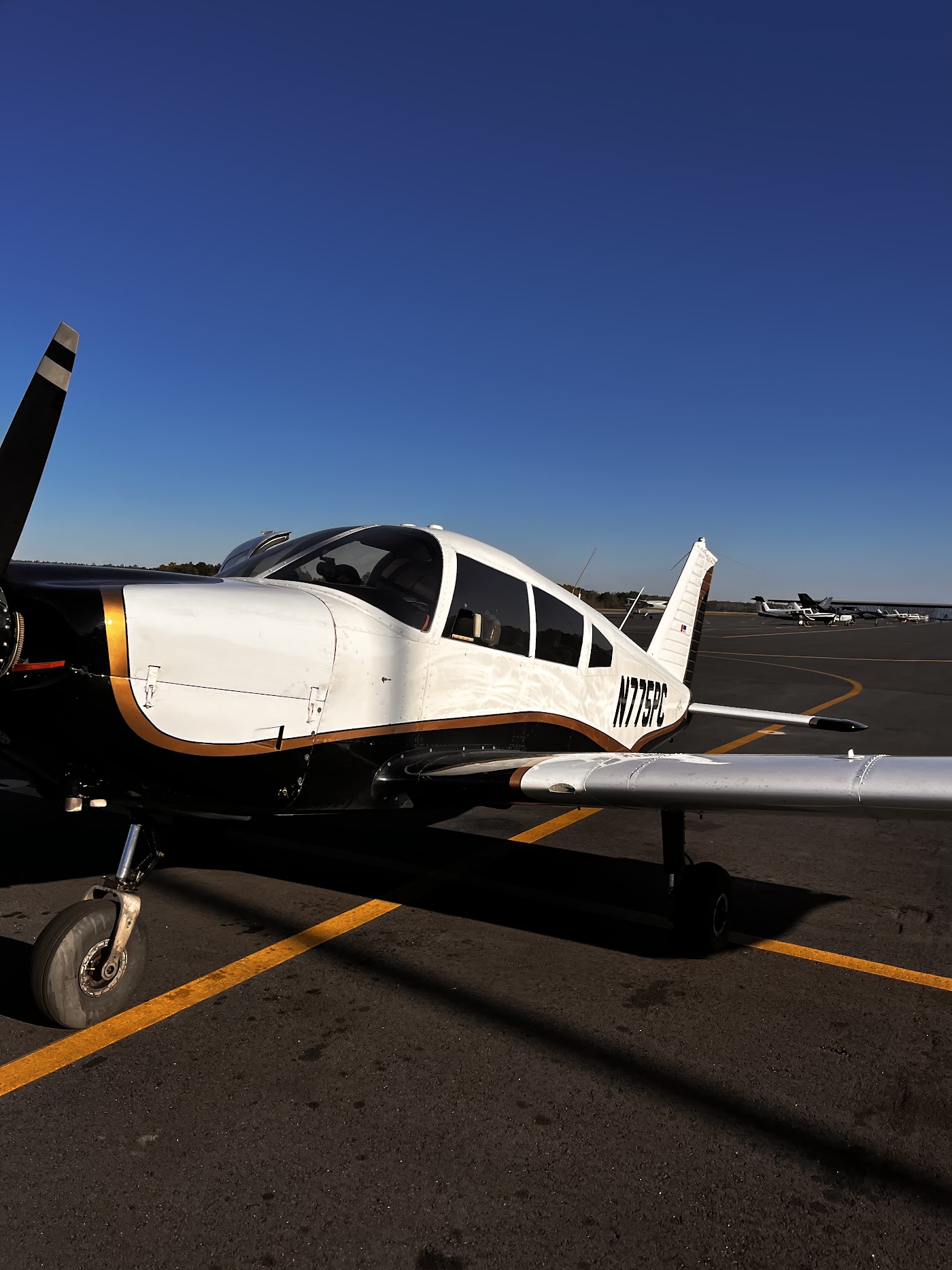 Lowcountry Flight Company in Statesboro, photo 2