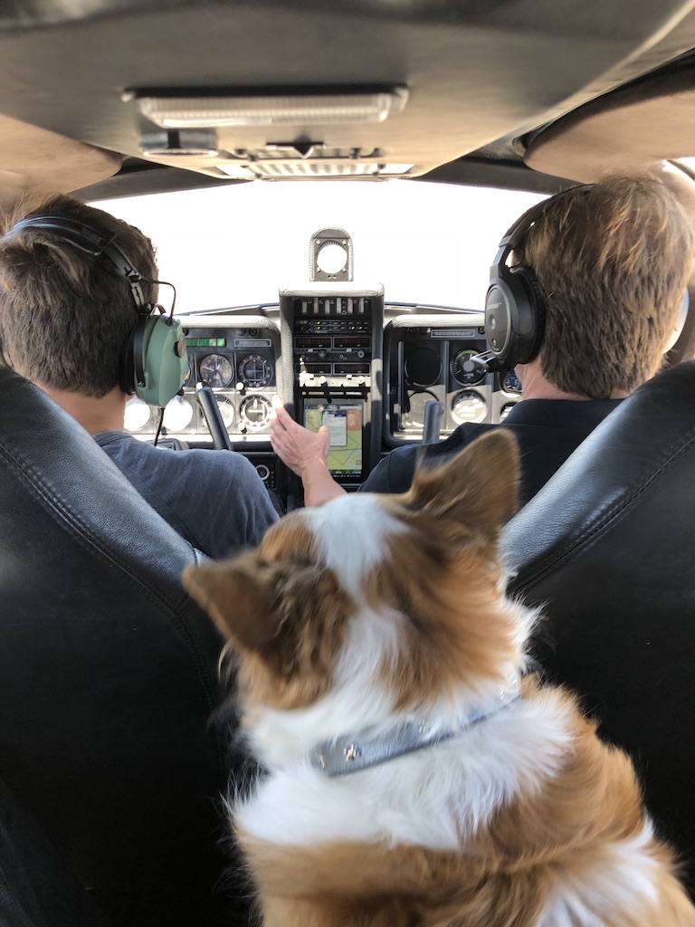 Silver Aviation in Torrance, photo 1