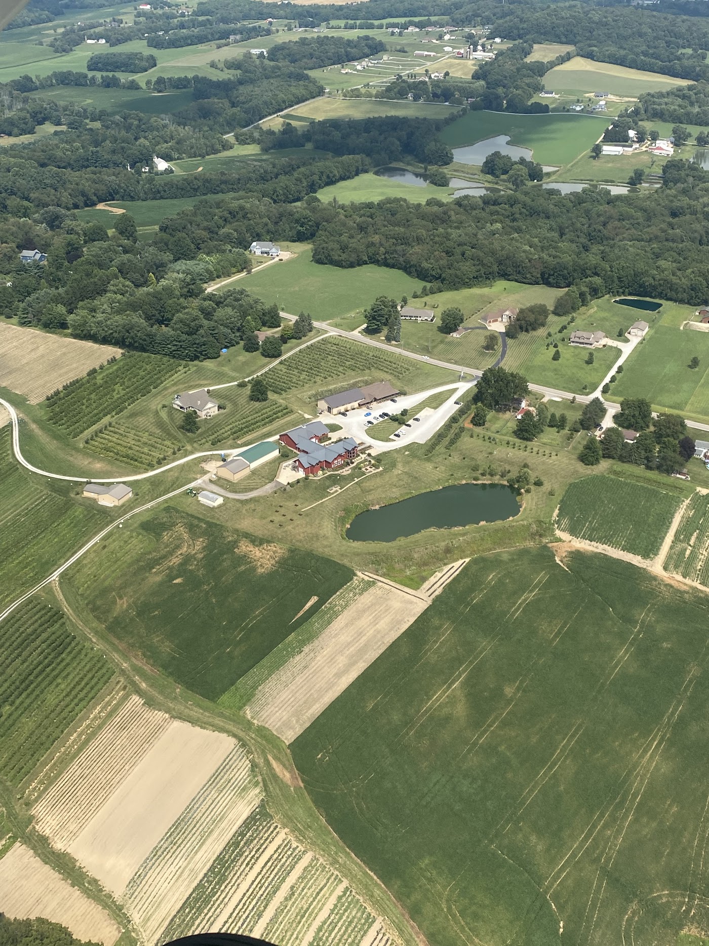 Avit Flight Academy in Wadsworth, photo 3