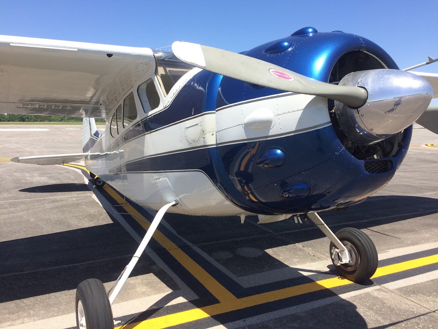 Ace Basin Aviation in Walterboro, photo 3