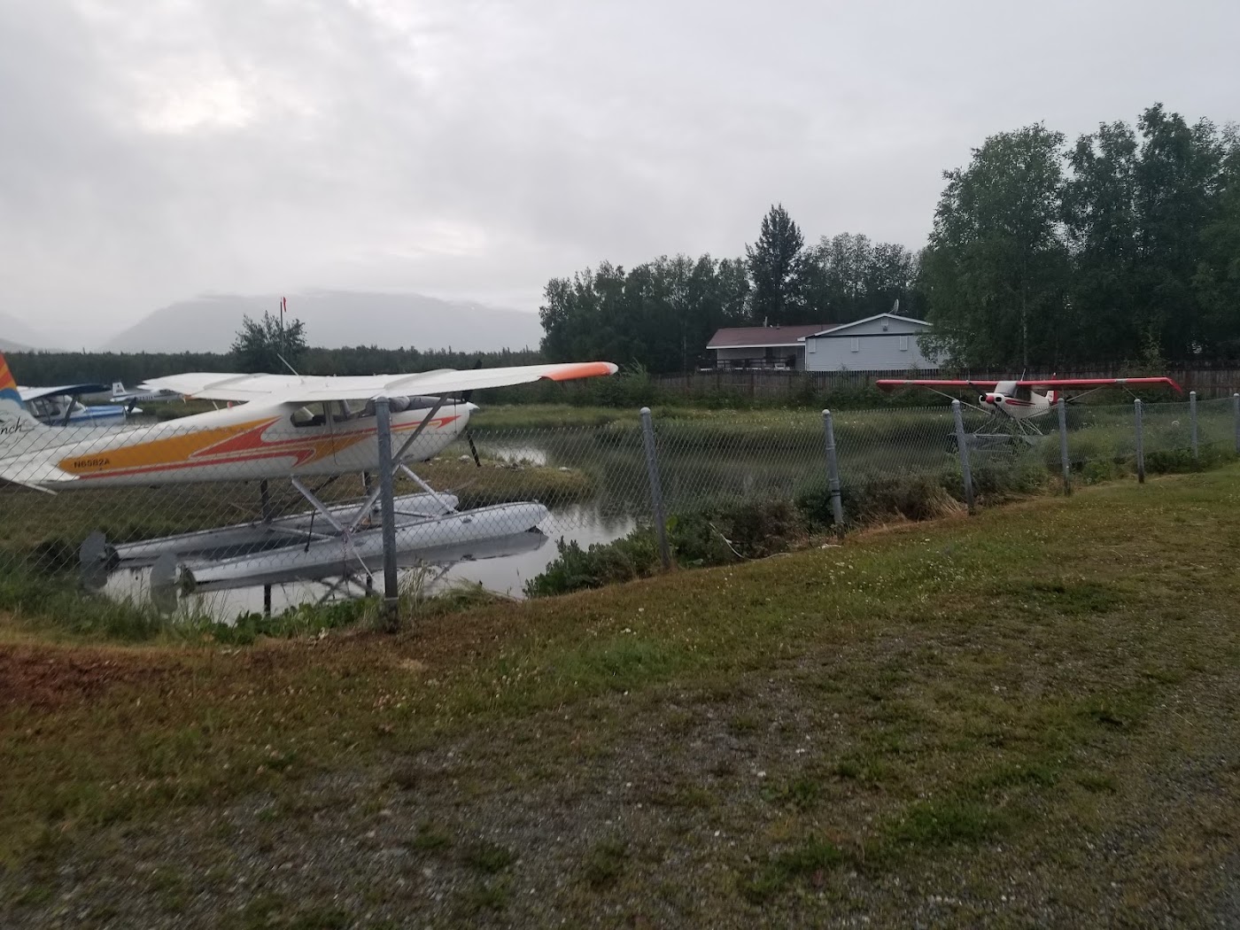 ALASKA'S CUB TRAINING SPECIALISTS in Wasilla, photo 1