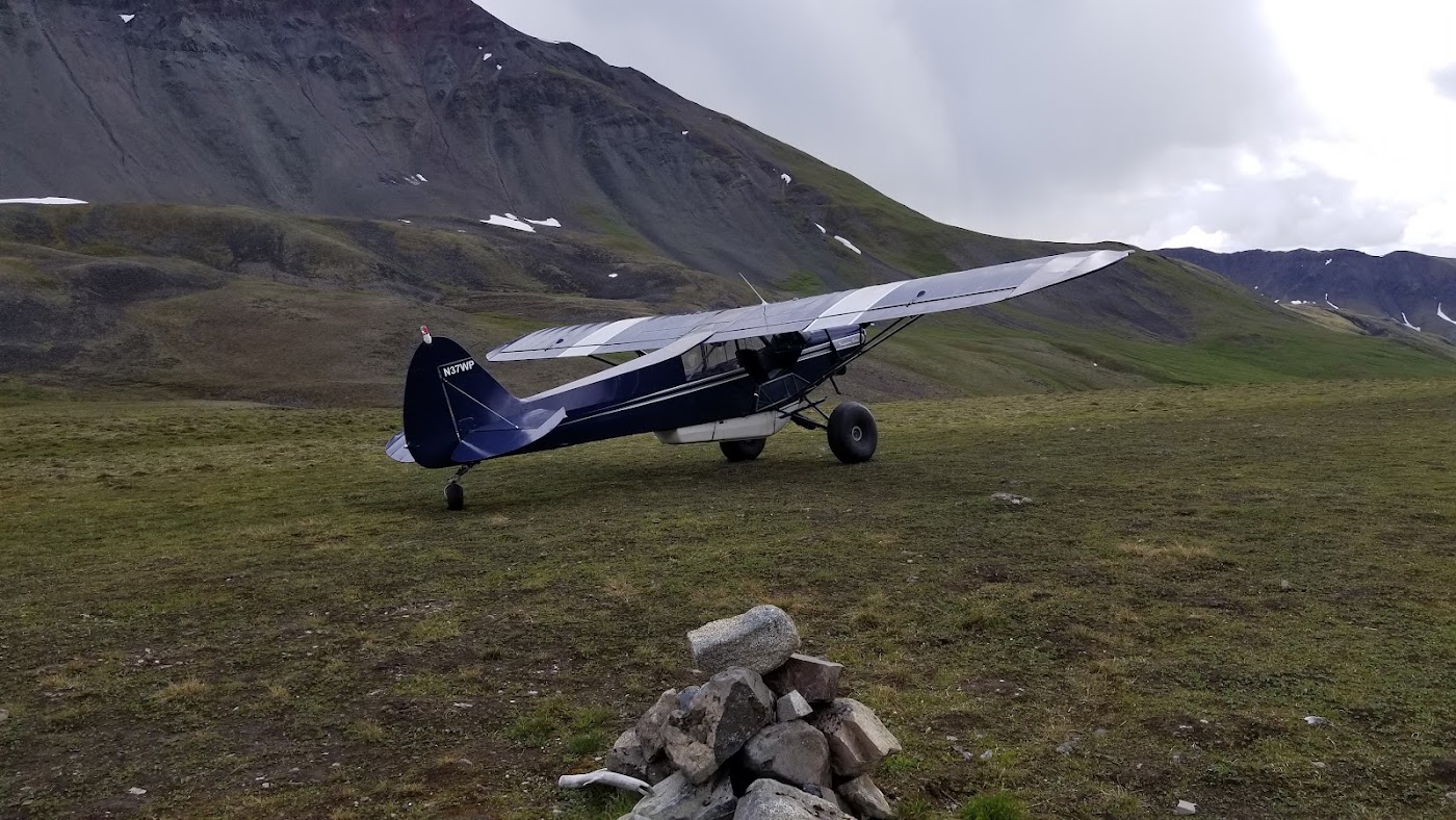 ALASKA'S CUB TRAINING SPECIALISTS in Wasilla, photo 2