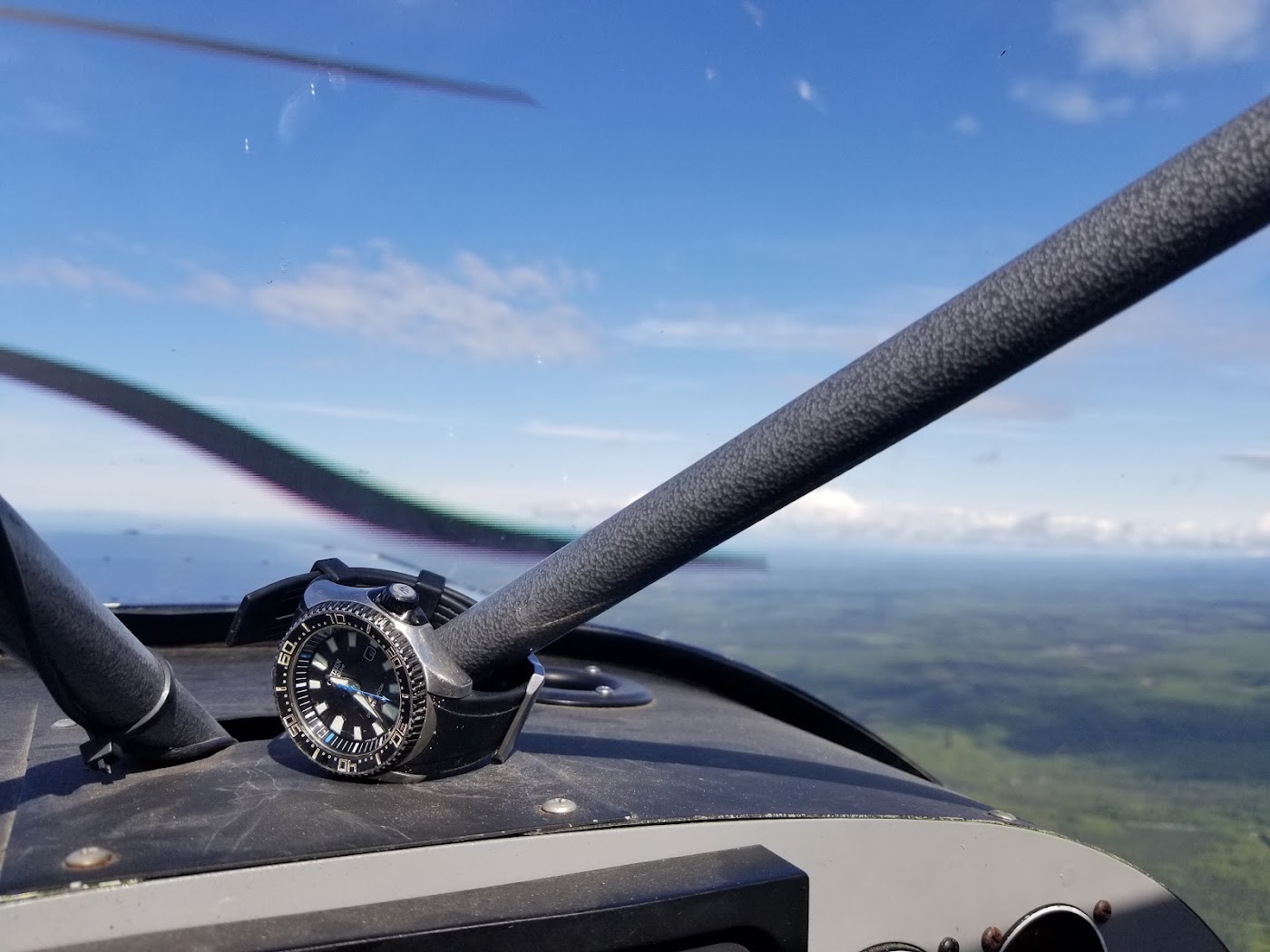 ALASKA'S CUB TRAINING SPECIALISTS in Wasilla, photo 3