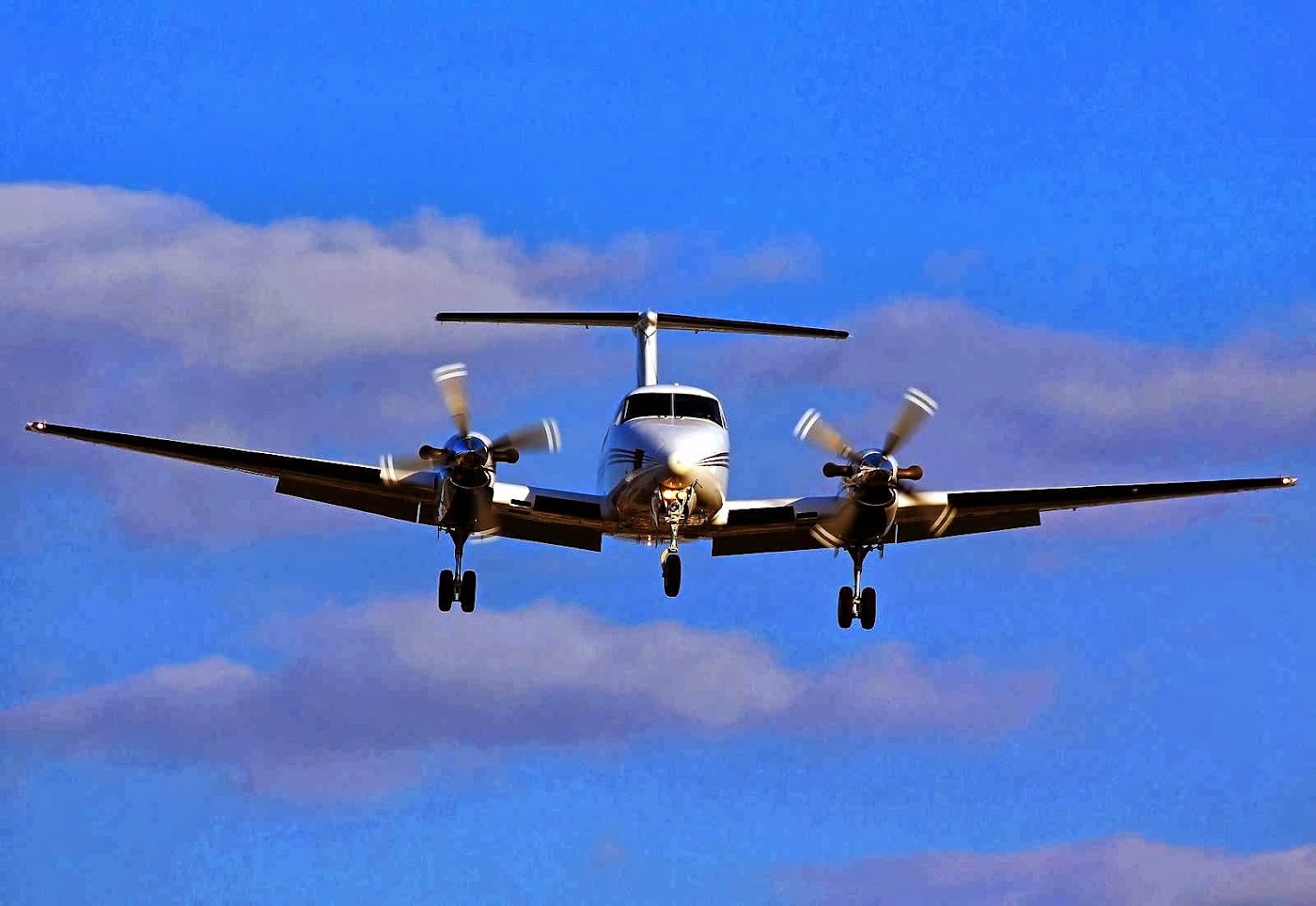 Access Flight Training Services LLC in Willoughby, photo 1