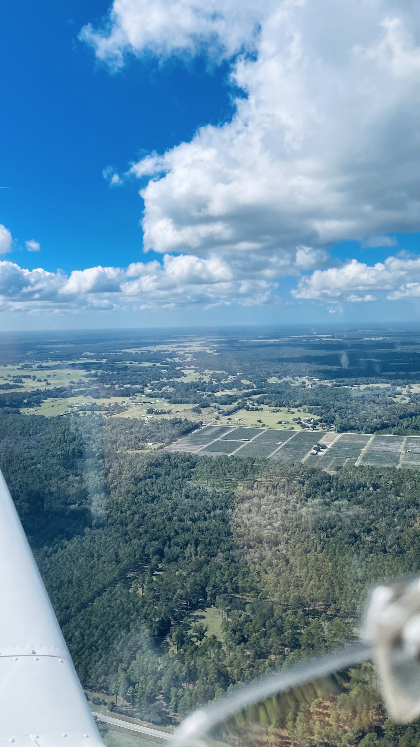 Cross Air Ocean Flight School in Zephyrhills, photo 3